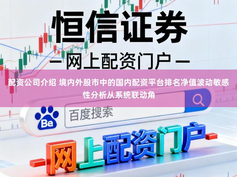 配资公司介绍 境内外股市中的国内配资平台排名净值波动敏感性分析从系统联动角