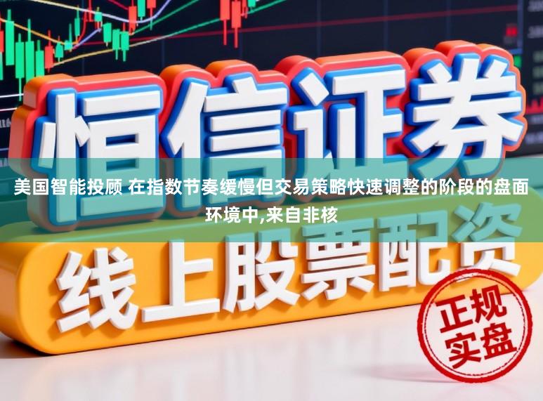 美国智能投顾 在指数节奏缓慢但交易策略快速调整的阶段的盘面环境中,来自非核