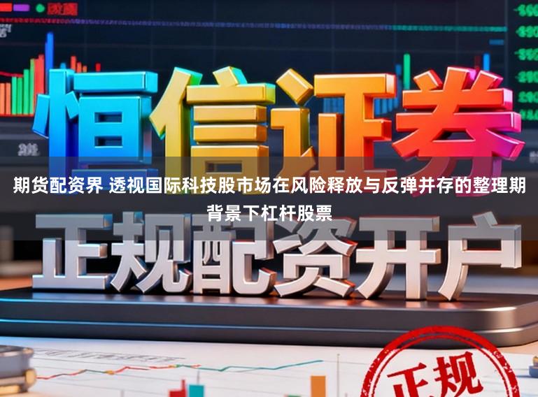 期货配资界 透视国际科技股市场在风险释放与反弹并存的整理期背景下杠杆股票