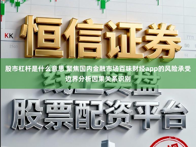 股市杠杆是什么意思 聚焦国内金融市场百味财经app的风险承受边界分析因果关系识别