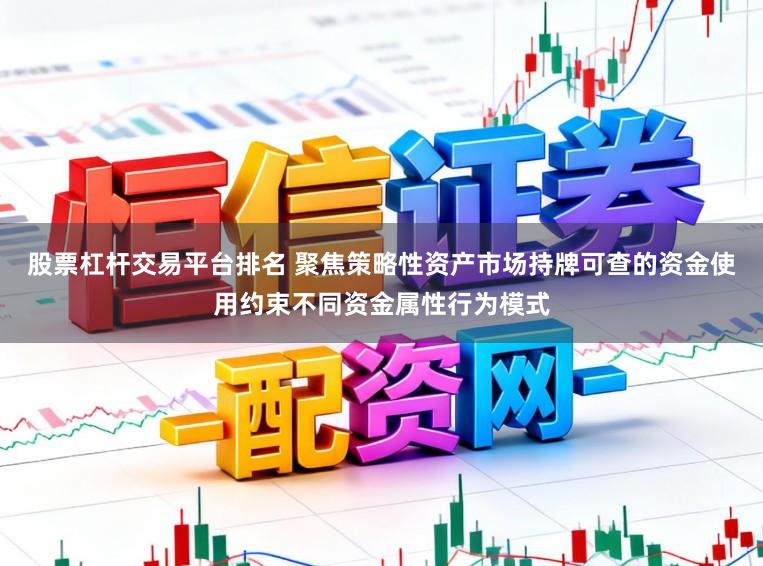 股票杠杆交易平台排名 聚焦策略性资产市场持牌可查的资金使用约束不同资金属性行为模式