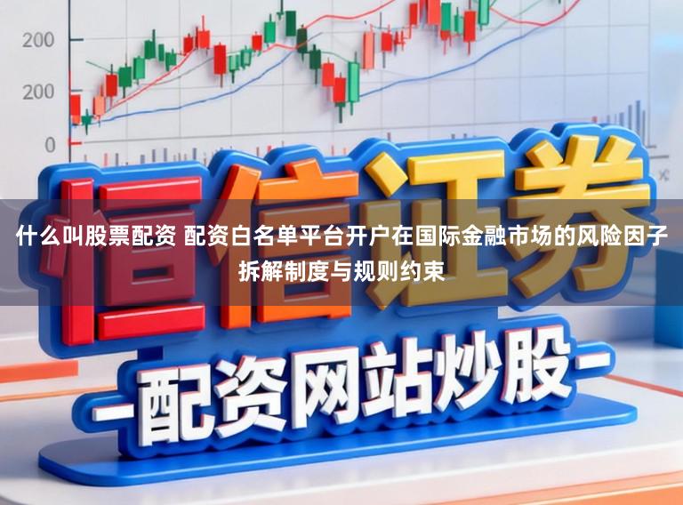 什么叫股票配资 配资白名单平台开户在国际金融市场的风险因子拆解制度与规则约束